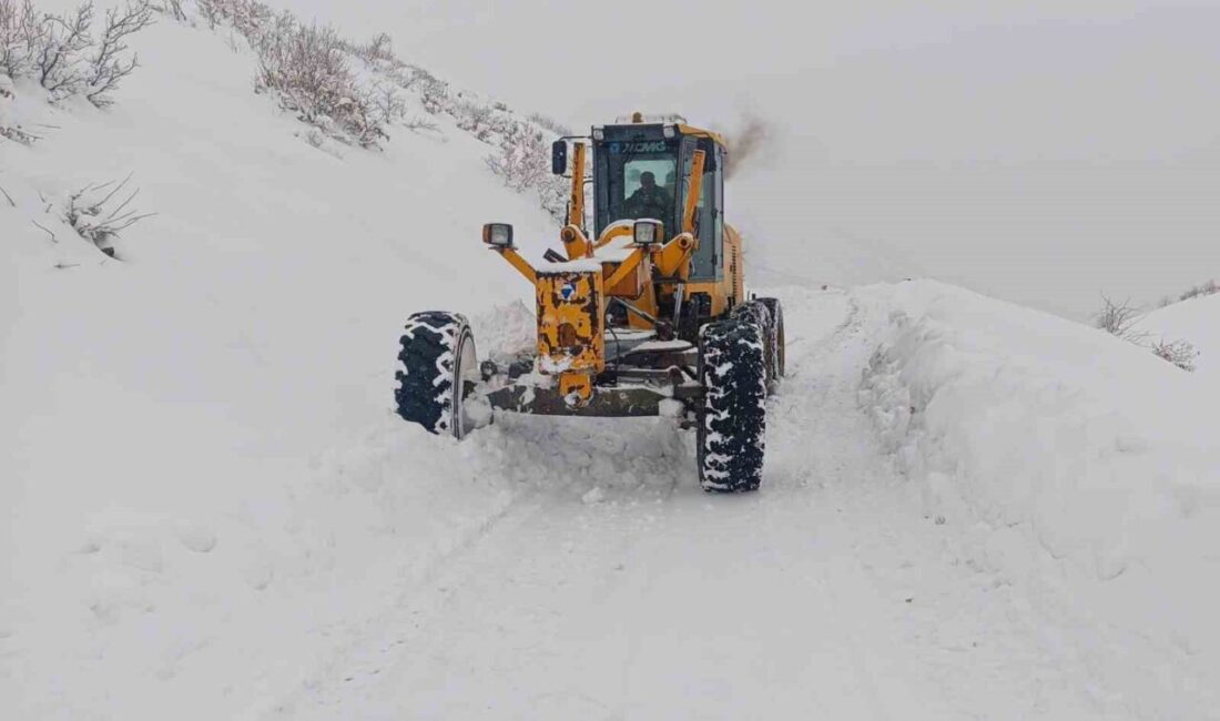 Diyarbakır Büyükşehir Belediyesi, yoğun kar yağışının etkili olduğu 6 ilçede