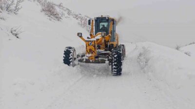 Diyarbakır Büyükşehir Belediyesi, yoğun kar yağışının etkili olduğu 6 ilçede