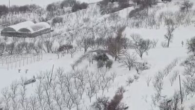 Diyarbakır’ın Çermik ilçesinde, doğal yaşam alanlarında yiyecek bulamayan kurt sürüsü