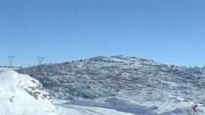 Diyarbakır’ın Çermik ve Çüngüş ilçelerinde aç kalan kurt ve domuz