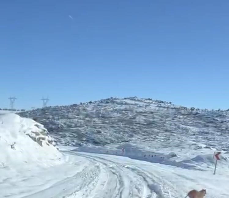 Diyarbakır’ın Çermik ve Çüngüş ilçelerinde aç kalan kurt ve domuz