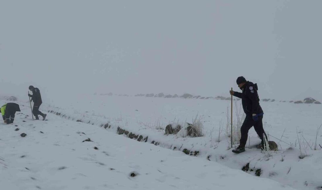 Diyarbakır’ın Çınar ilçesinde kayıp 45 yaşındaki şizofreni hastası kadın için