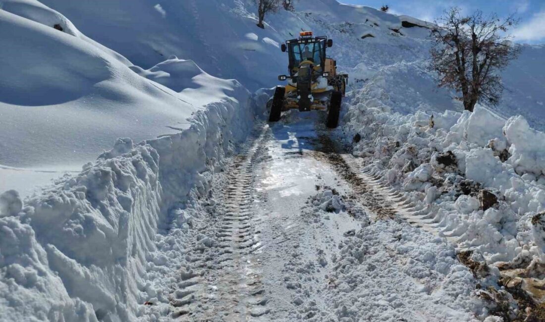 Diyarbakır Büyükşehir Belediyesi ekipleri, kar yağışının ardından kent genelinde yürüttüğü