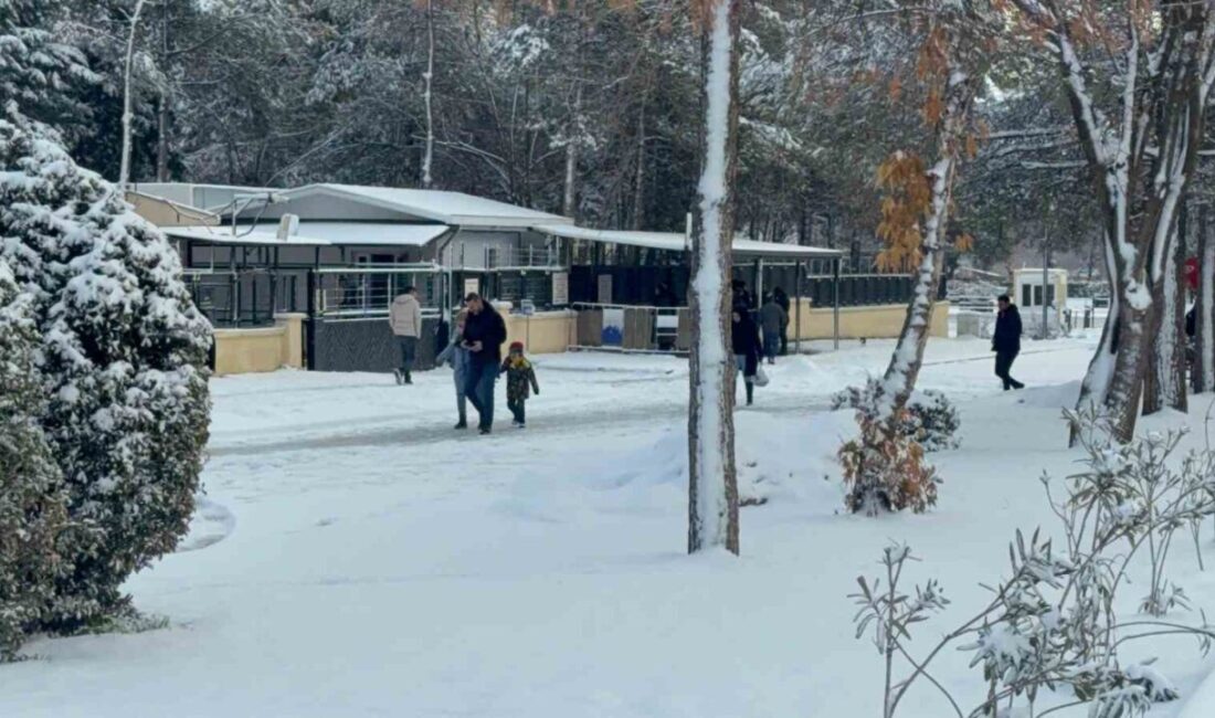 Diyarbakır’da son iki gündür aralıklarla etkili olan kar hayatı durma