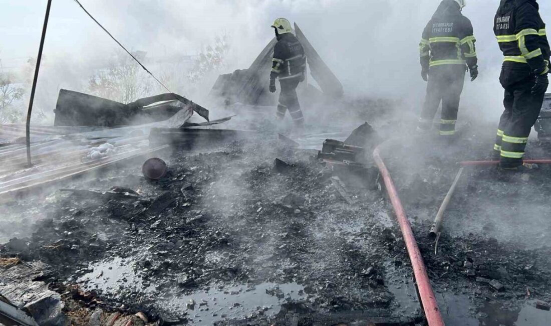 Diyarbakır’ın Çınar ilçesindeki bir okulda yakılan soba, çatıya sıçradı. Öğrenciler