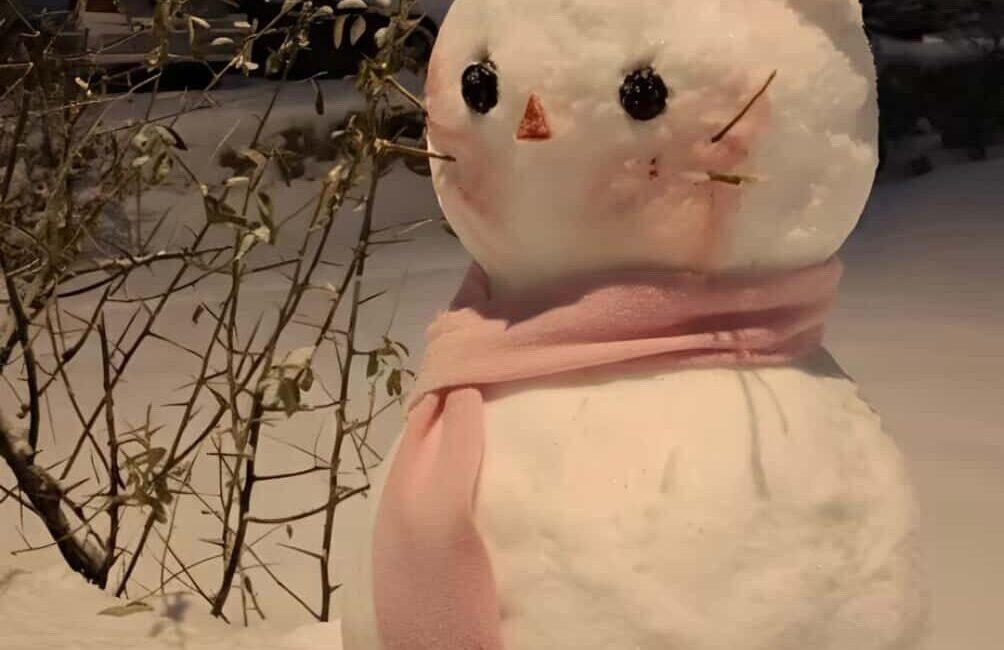 Diyarbakır’ın Çermik ilçesinde düzenlenen kardan adam yarışmasında aldıkları oylarla ilk