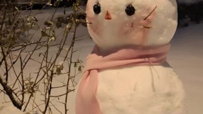 Diyarbakır’ın Çermik ilçesinde düzenlenen kardan adam yarışmasında aldıkları oylarla ilk