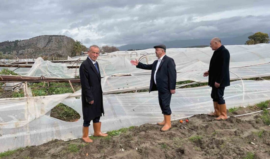 Muğla Ziraat Odaları Birliği ve Menteşe Ziraat Odası Başkanı Mehmet