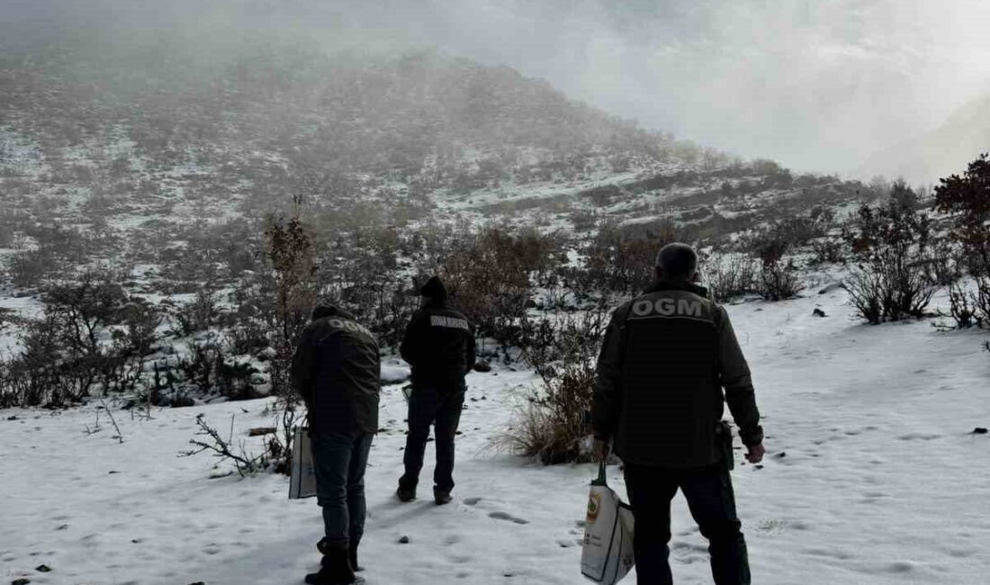 BATMAN (İHA) – Batman’ın Hasankeyf ilçesinde Orman İşletme Şefliği ekipleri,