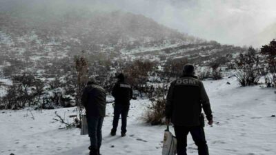 BATMAN (İHA) – Batman’ın Hasankeyf ilçesinde Orman İşletme Şefliği ekipleri,