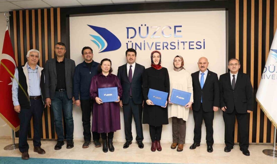 Düzce Meslek Yüksekokulu Bilgisayar Programcılığı, Makine ve Elektrik Programları, mesleki