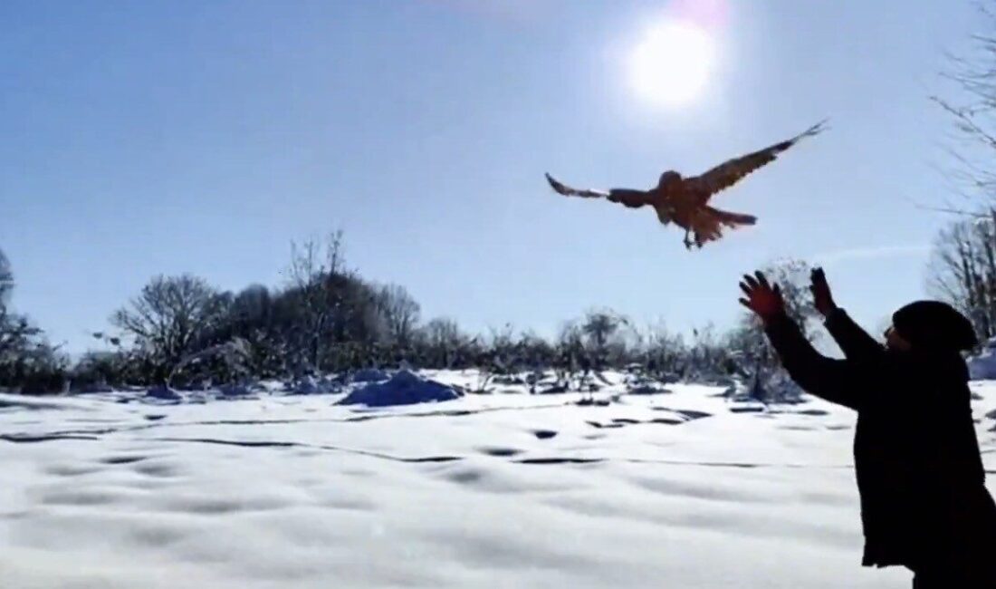 Düzce Doğa Koruma ve Milli Parklar Müdürlüğü, 2025 yılı boyunca