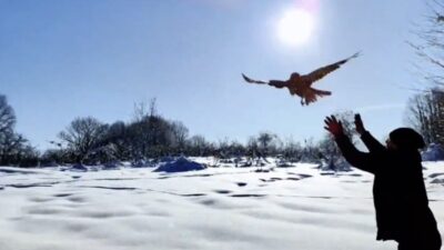 Düzce Doğa Koruma ve Milli Parklar Müdürlüğü, 2025 yılı boyunca