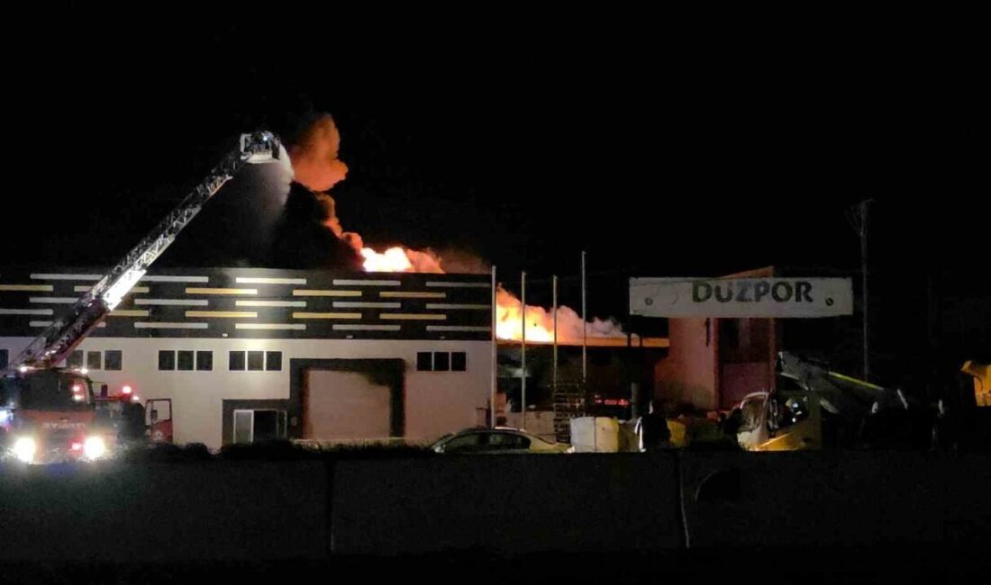 Düzce’de strafor üretimi yapan fabrikada yangın çıktı. Bölgede etkili olan