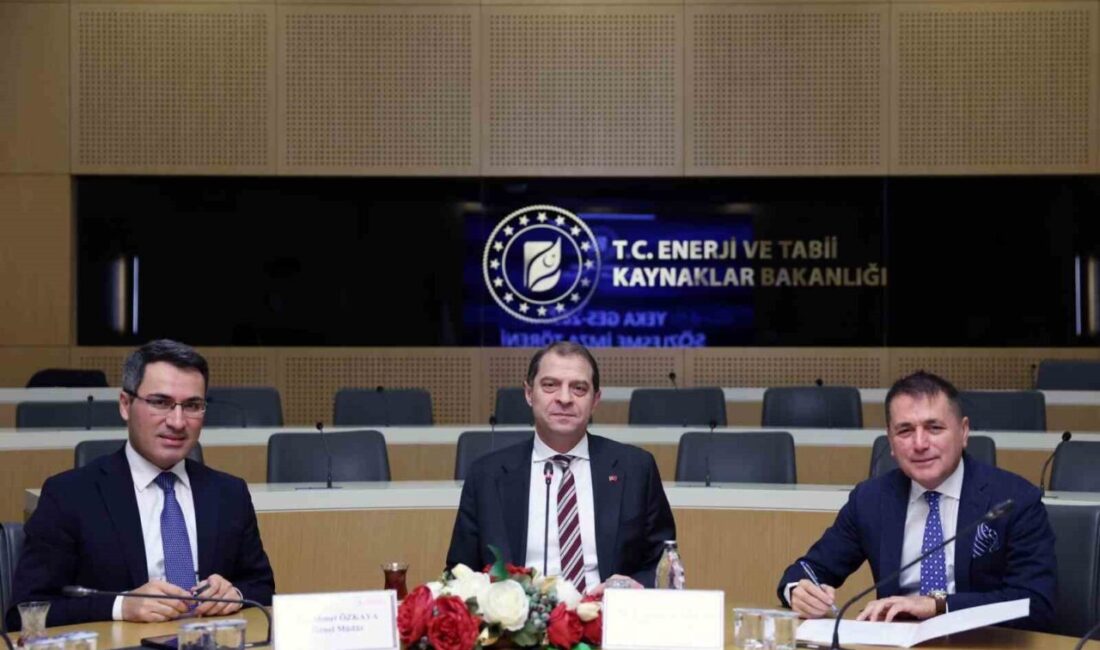 Ecogreen Enerji Holding, Enerji ve Tabii Kaynaklar Bakanlığı tarafından 25