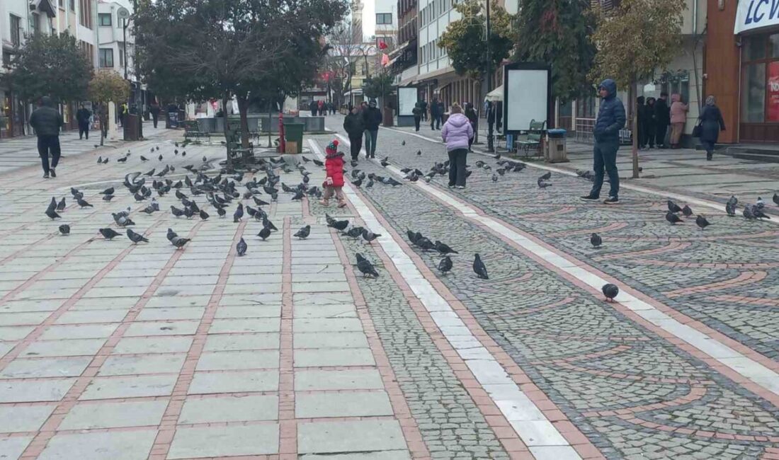 Edirne’de hava sıcaklıklarının eksi derecelere düşmesiyle birlikte dondurucu soğuk kent