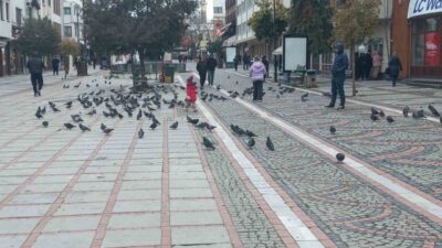 Edirne’de hava sıcaklıklarının eksi derecelere düşmesiyle birlikte dondurucu soğuk kent