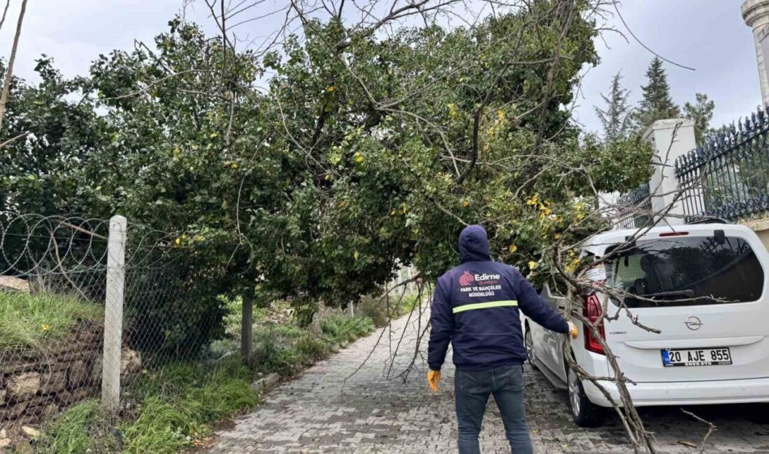 Edirne’de etkili olan fırtına nedeniyle kökünden sökülen ağaç park halindeki