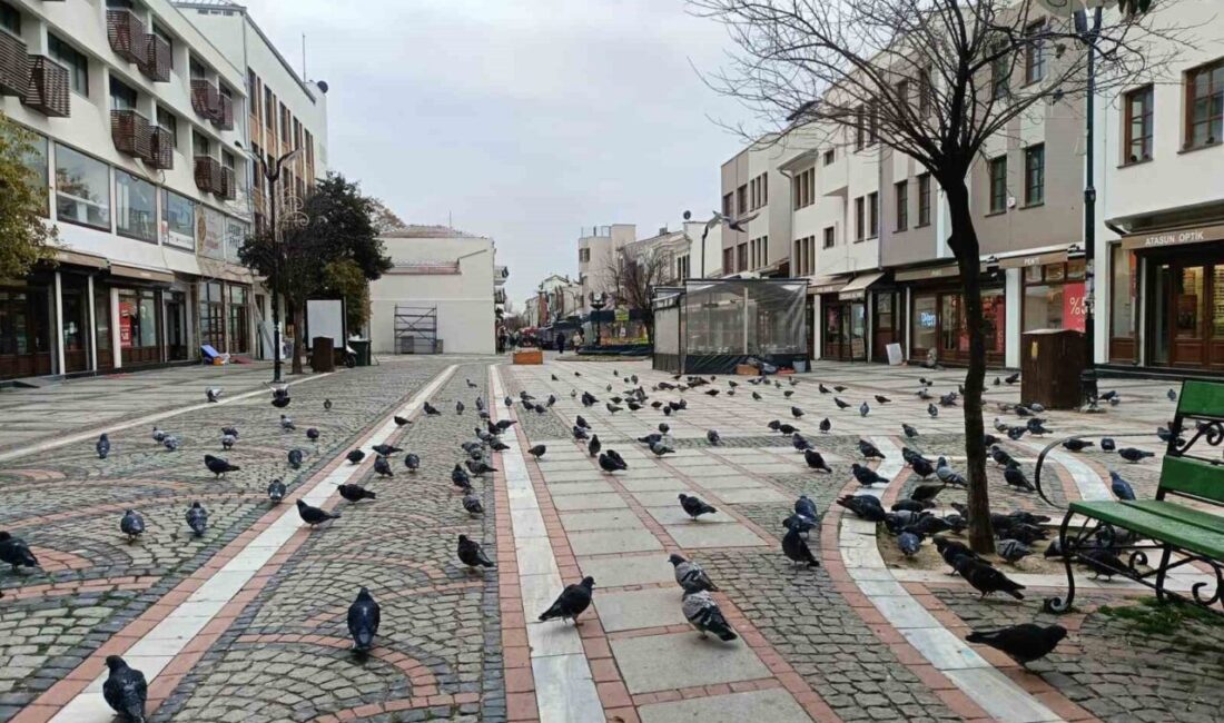 Edirne’de Meteorolojinin uyarılarının ardından gece saatlerinde etkili olan kar yağışı,