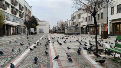 Edirne’de Meteorolojinin uyarılarının ardından gece saatlerinde etkili olan kar yağışı,