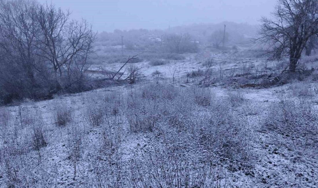 Edirne’nin Lalapaşa ilçesine bağlı Hamzabeyli köyünde gün boyu etkili olan