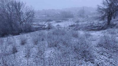 Edirne’nin Lalapaşa ilçesine bağlı Hamzabeyli köyünde gün boyu etkili olan