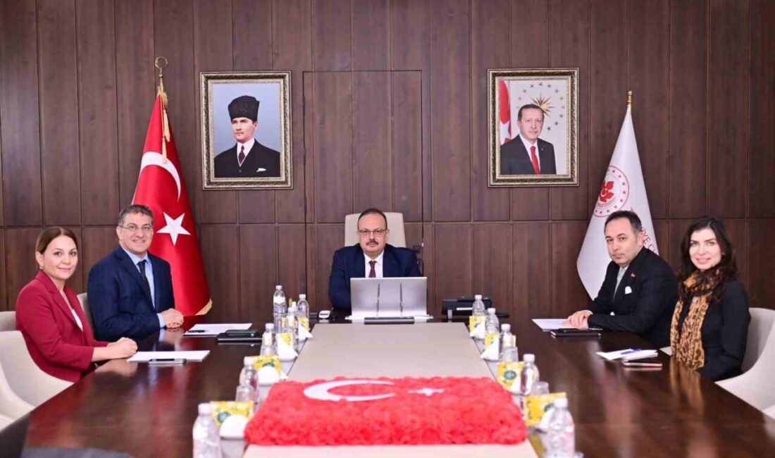 Aydın’ın Efeler ve Didim ilçelerinde yapılması planlanan hükümet konağı için