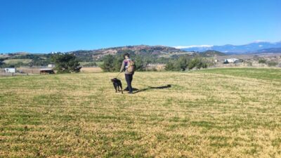 Adana’da 3 gün önce halk eğitim merkezinden çıktıktan sonra kendisinden
