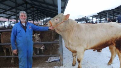 Erzurum ve bölgenin en hareketli canlı hayvan pazarlarından biri olan
