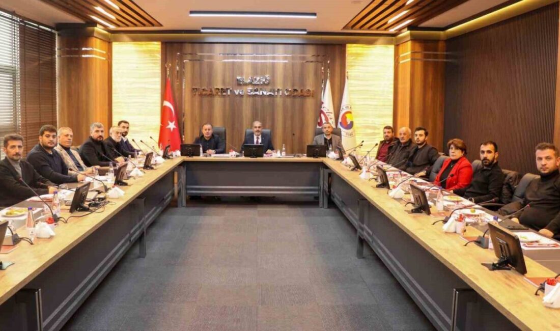 Elazığ Ticaret ve Sanayi Odası (Elazığ TSO) Başkanı İdris Alan,