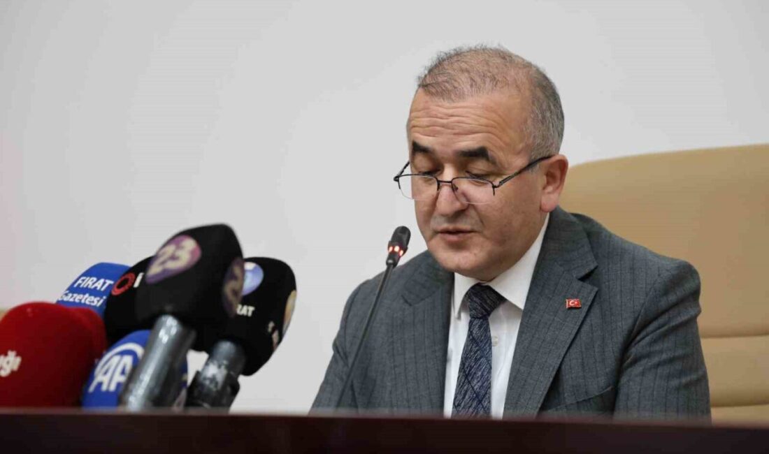 Elazığ Valisi Numan Hatipoğlu, 2025 yılında kent genelinde bin 156