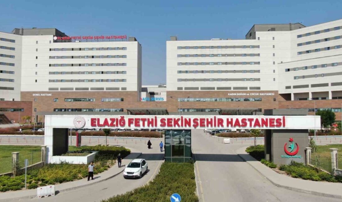 Elazığ’da etkili olan kar yağışı ve ardından oluşan buzlanma, çok