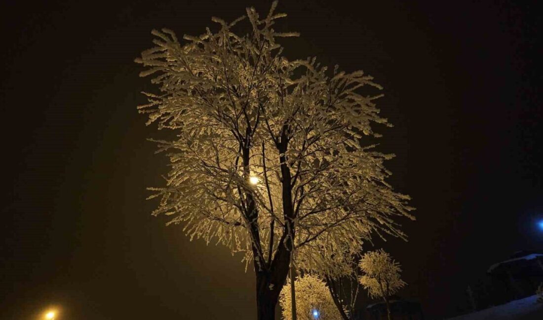 Elazığ’da etkili olan sis ve donla birlikte ağaçlar kırağı tuttu.