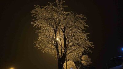 Elazığ’da etkili olan sis ve donla birlikte ağaçlar kırağı tuttu.