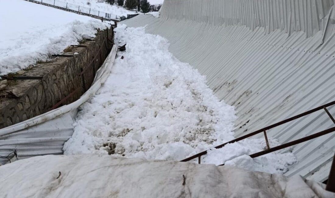 Elazığ’da, üzerindeki karın ağırlığına dayanamayan ahırın bir kısmı çöktü. Çökme