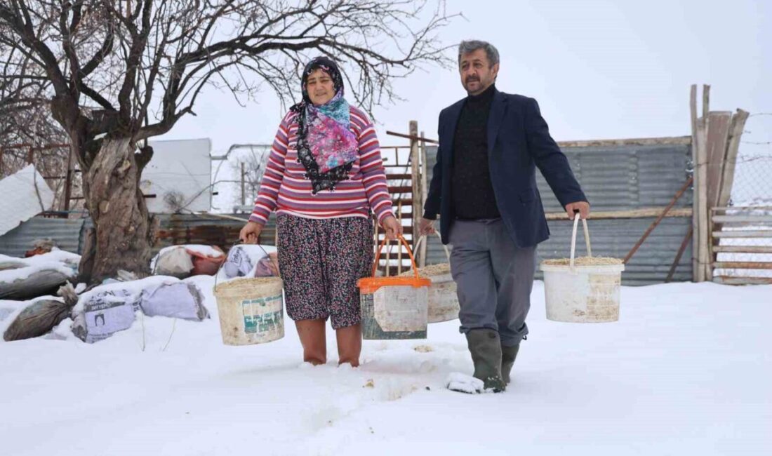 Elazığ’da besiciler dondurucu soğuklarda zorlu bir mesai yürütüyor. Elazığ’da etkili