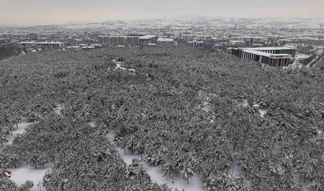 Elazığ’da kar yağışı sonrası şehrin kalbindeki Fırat Üniversitesi ormanı ve