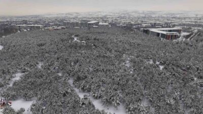 Elazığ’da kar yağışı sonrası şehrin kalbindeki Fırat Üniversitesi ormanı ve