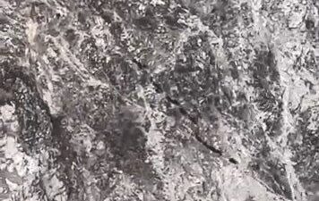 Elazığ’ın Sivrice ilçesinde domuz sürüsü görüldü. Elazığ’ın Sivrice ilçesine bağlı