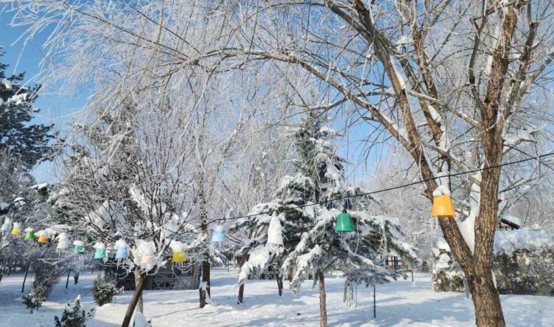 Elazığ’ın Karakoçan ilçesinde hava sıcaklığının eksi 22 dereceye düşmesiyle don