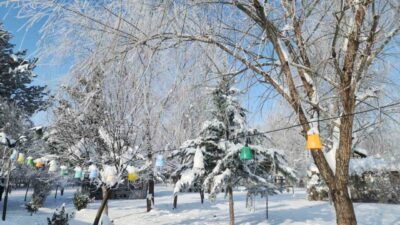 Elazığ’ın Karakoçan ilçesinde hava sıcaklığının eksi 22 dereceye düşmesiyle don