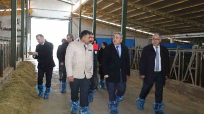 Elazığ’da 2020 ve 2023 yıllarında meydana gelen depremlerin ardından yapımı