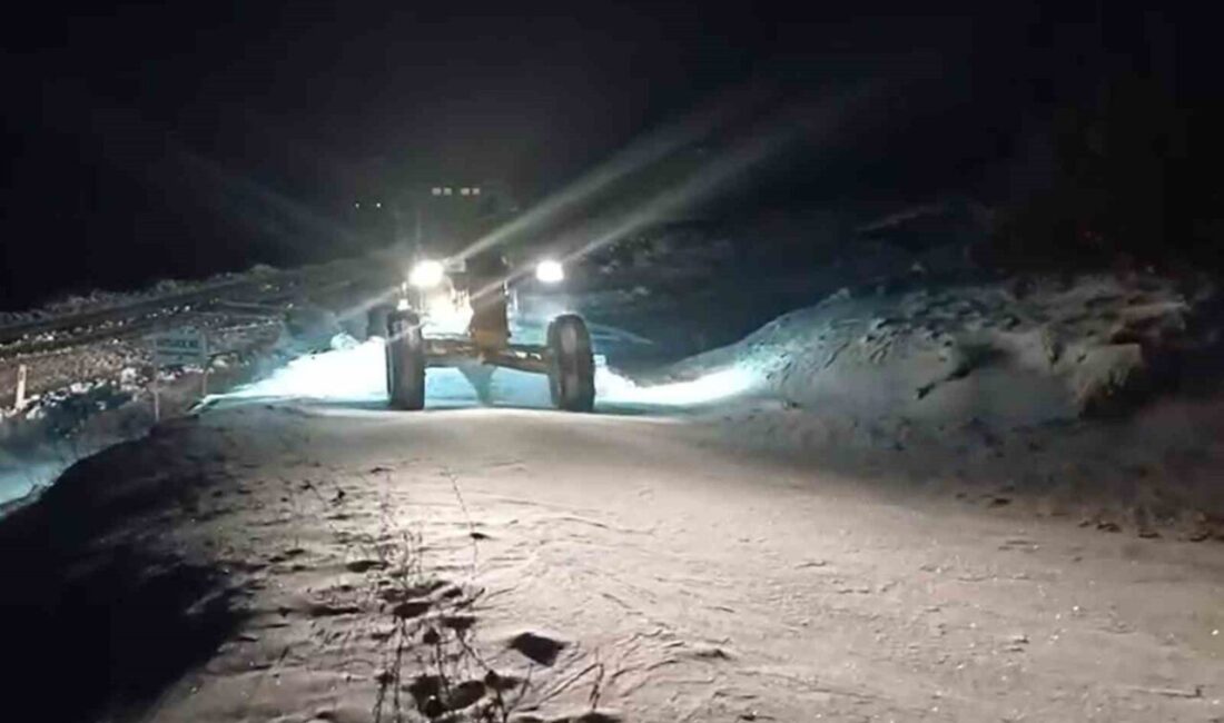 Elazığ’da karla mücadele kapsamında 276 köy yolu ulaşıma açılırken, çalışmalar