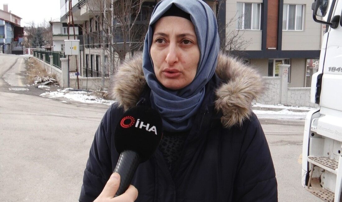 Ankara’nın Elmadağ ilçesinde sahipsiz köpeklerin saldırısına uğrayarak yaralanan kadın, “Komşum