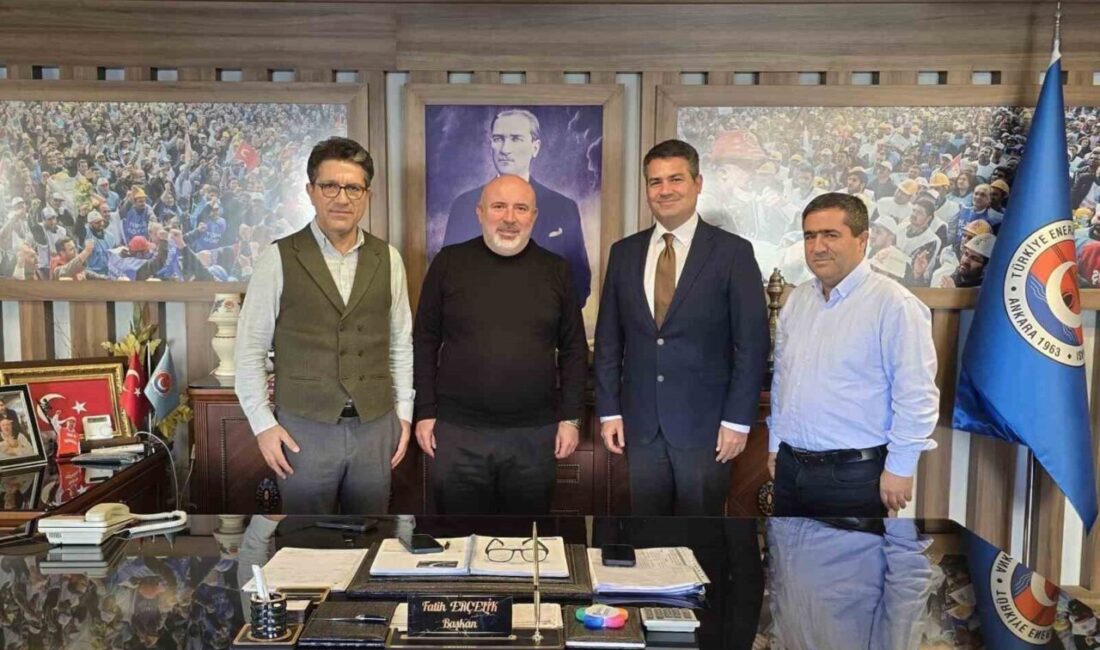 Muğla’nın Milas İlçesi’nde faaliyet gösteren Yeniköy ve Kemerköy termik santrallerinin