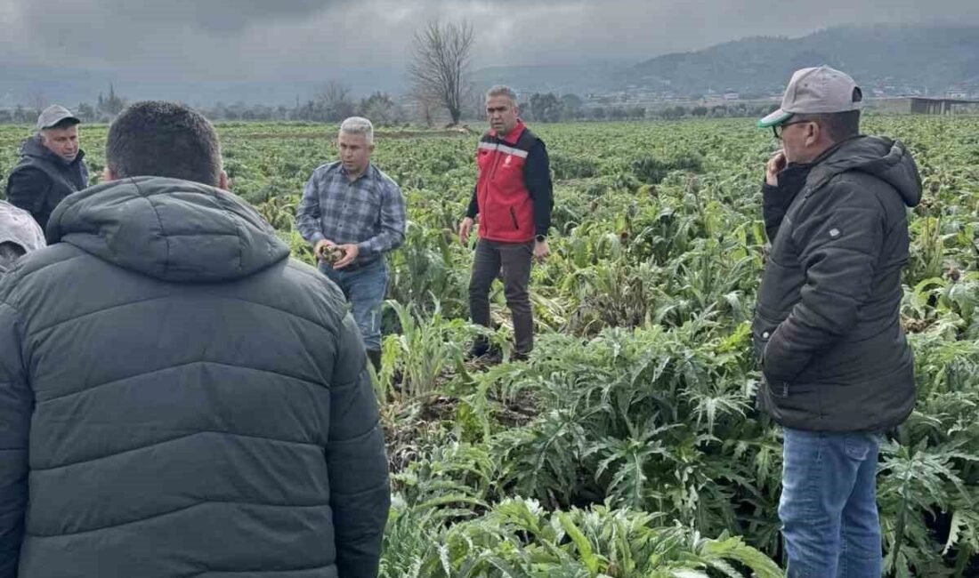 Aydın’ın Efeler ilçesindeki üreticilere Tarım Sigortaları Havuzu’nun (TARSİM) önemi anlatılırken,