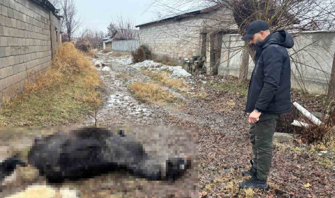 Erzincan’ın Güllüce köyünde bir vatandaşa ait at ve eşek, evde