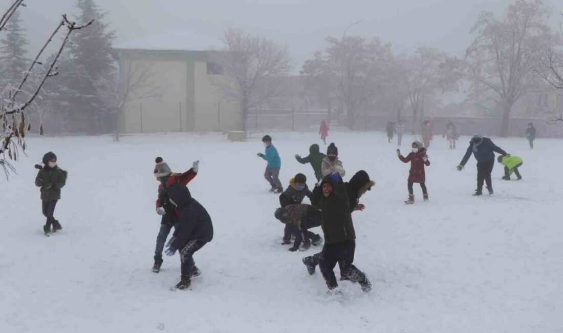 Erzincan’da olumsuz hava şartları nedeniyle eğitime 1 gün ara verildi.