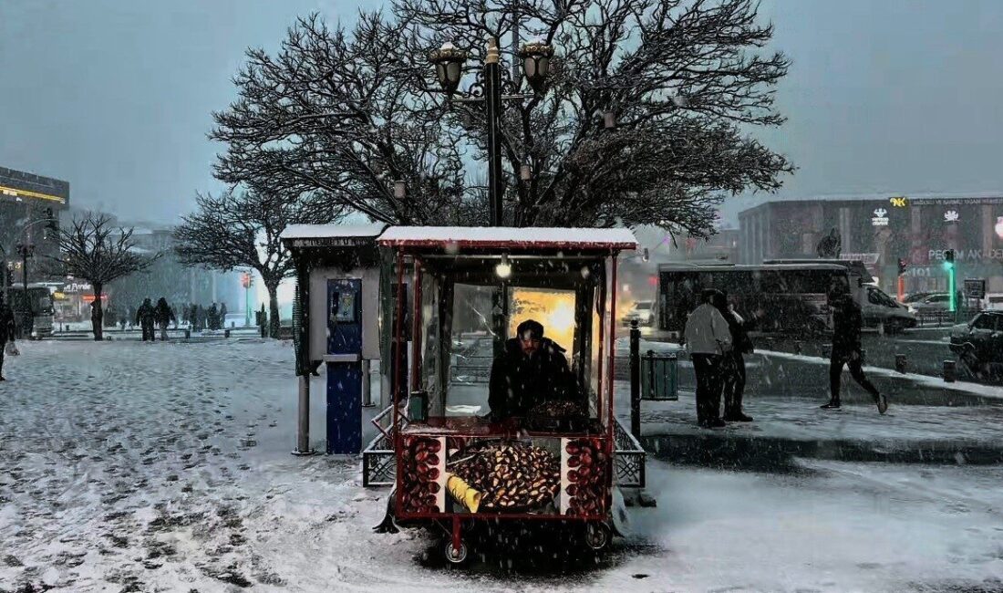 Erzincan kent merkezinde akşam saatlerinde başlayan kar yağışı, cadde ve