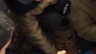 Erzincan’da yoğun kar yağışı nedeniyle Erzincan-Sivas ve Erzincan-Gümüşhane yollarında ulaşım